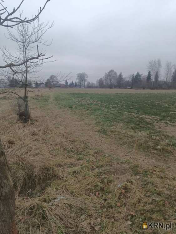 , Działki  na sprzedaż, Wola Batorska, ul. 