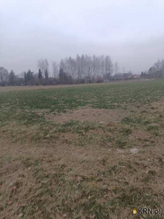 Działki  na sprzedaż, Wola Batorska, ul. , 