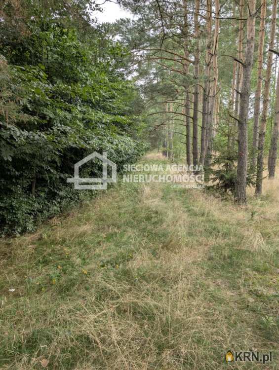 Sieciowa Agencja Nieruchomości Grupa Renoma, Działki  na sprzedaż, Jaroszewy, ul. 