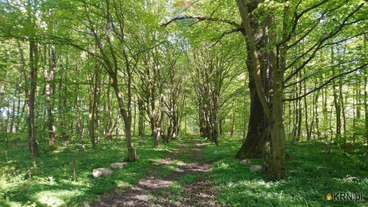 , Miłogoszcz, ul. , Działki  na sprzedaż