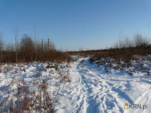 Działki  na sprzedaż, , Malczyce, ul. 