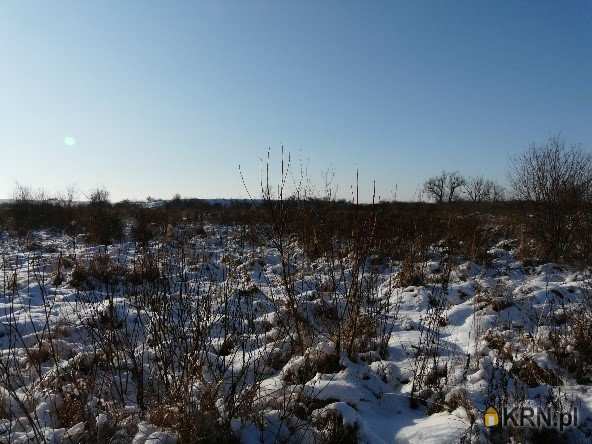 Malczyce, ul. , Działki  na sprzedaż, 