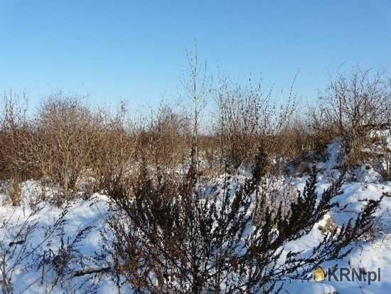 Działki  na sprzedaż, , Malczyce, ul. 