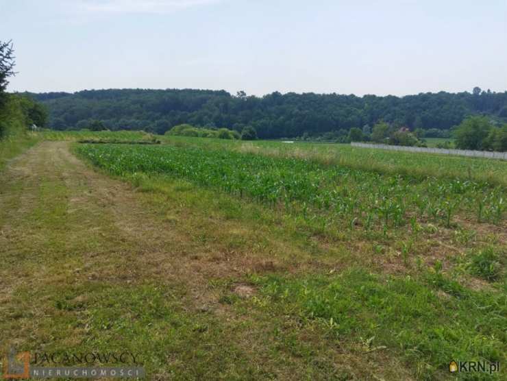 Działki  na sprzedaż, Zerwana, ul. , 