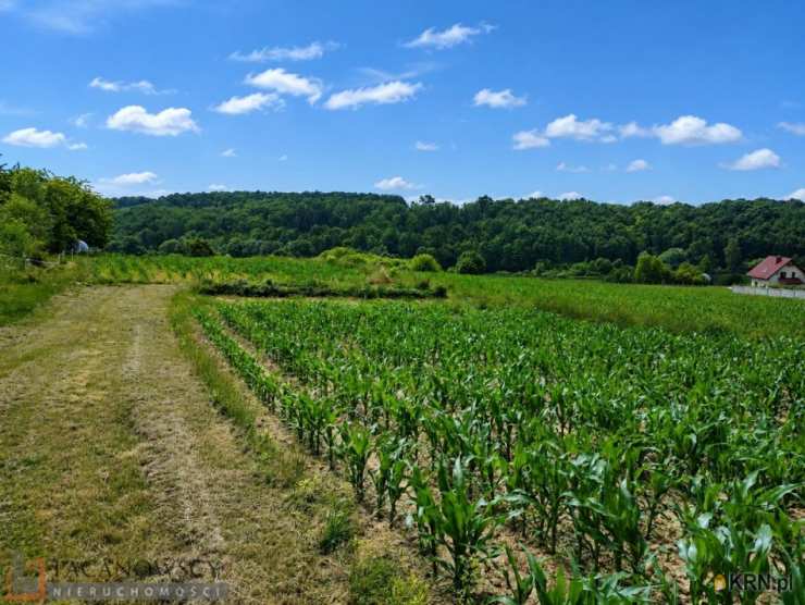 Zerwana, ul. , Działki  na sprzedaż, 