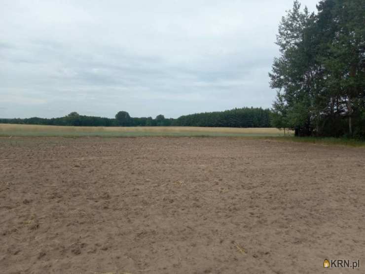 , Działki  na sprzedaż, Burzyn, ul. 