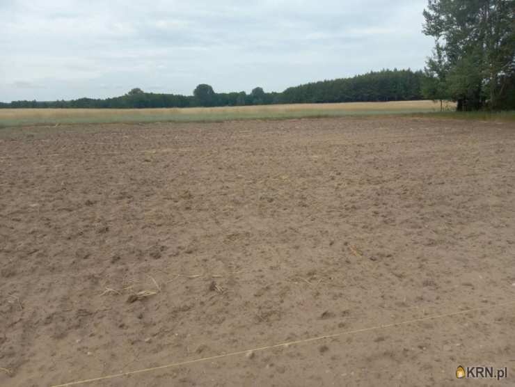 Działki  na sprzedaż, Burzyn, ul. , 