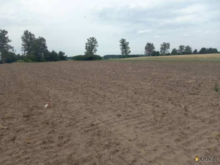 Działki  na sprzedaż, , Burzyn, ul. 