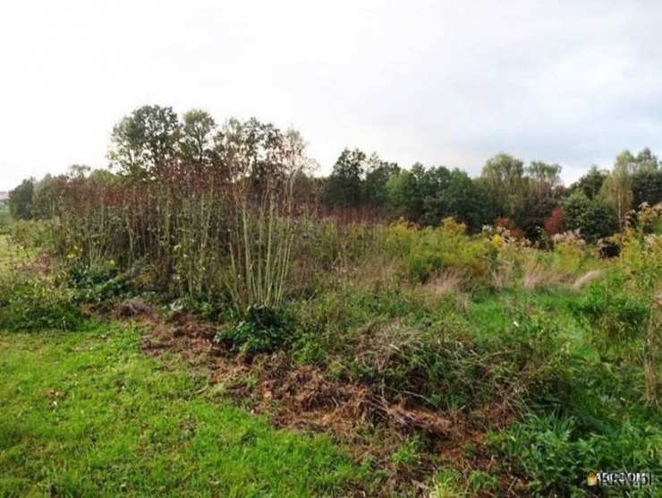 ABC Dom Biuro Nieruchomości, Działki  na sprzedaż, Jurczyce, ul. 