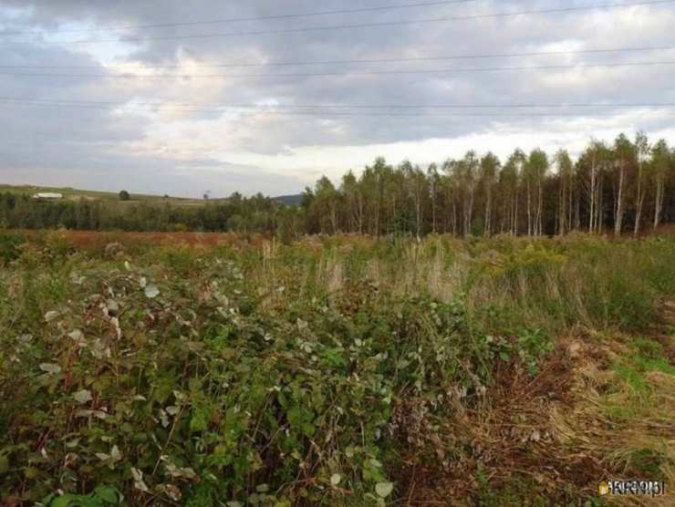 Działki  na sprzedaż, Jurczyce, ul. , 