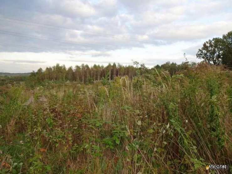 Działki  na sprzedaż, , Jurczyce, ul. 