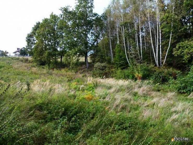 Jurczyce, ul. , , Działki  na sprzedaż