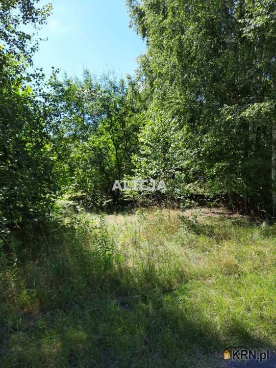 Działki  na sprzedaż, , Kozery Nowe, ul. 