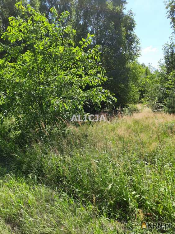 Kozery Nowe, ul. , , Działki  na sprzedaż