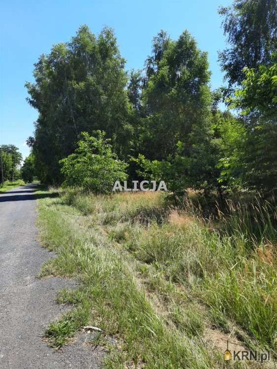 F.H.U. Alicja, Działki  na sprzedaż, Kozery Nowe, ul. 