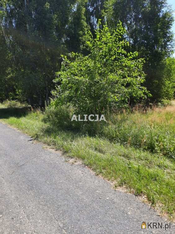 Działki  na sprzedaż, , Kozery Nowe, ul. 