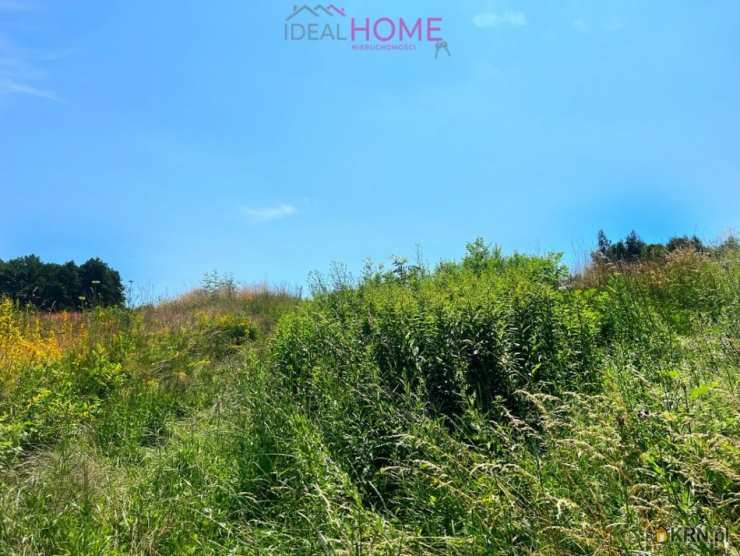 Szkodna, ul. , Działki  na sprzedaż, 