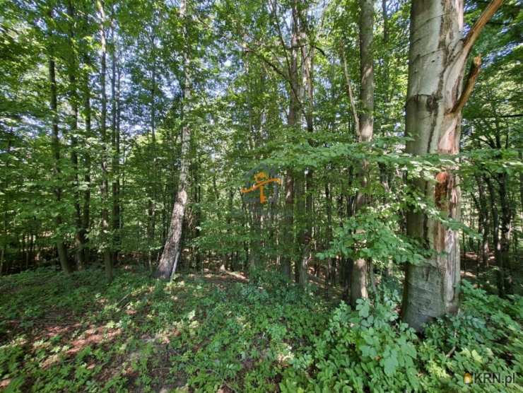 Bracia Sadurscy Oddział BS1 Kapelanka, Działki  na sprzedaż, Chronów, ul. 
