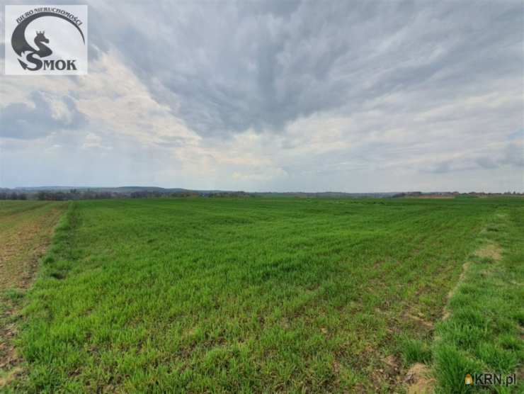 Działki  na sprzedaż, Brończyce, ul. , 