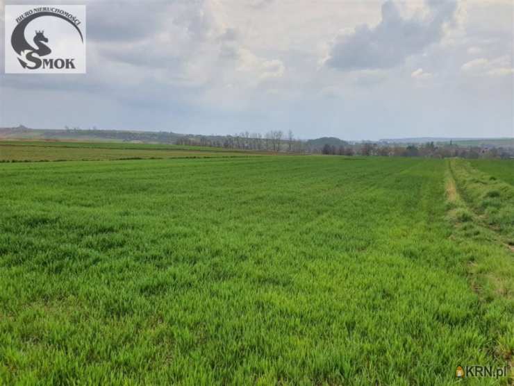 Działki  na sprzedaż, , Brończyce, ul. 