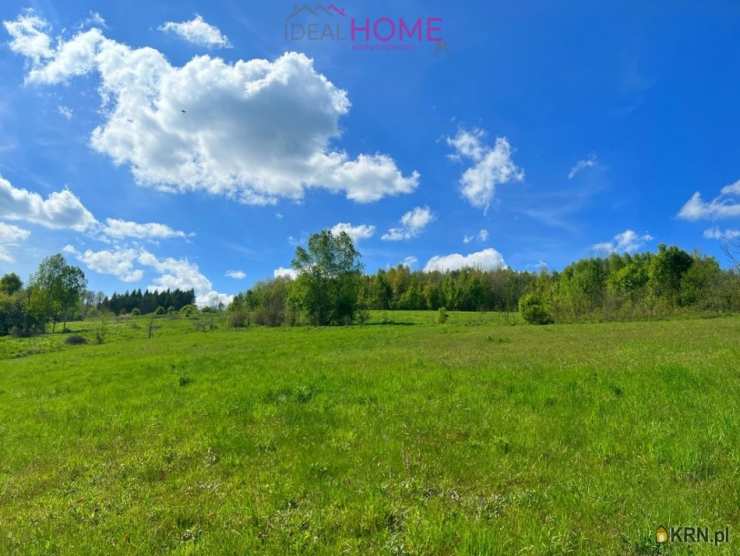 Działki  na sprzedaż, , Brzeziny, ul. 