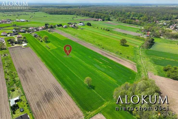 , Niepołomice, ul. , Działki  na sprzedaż