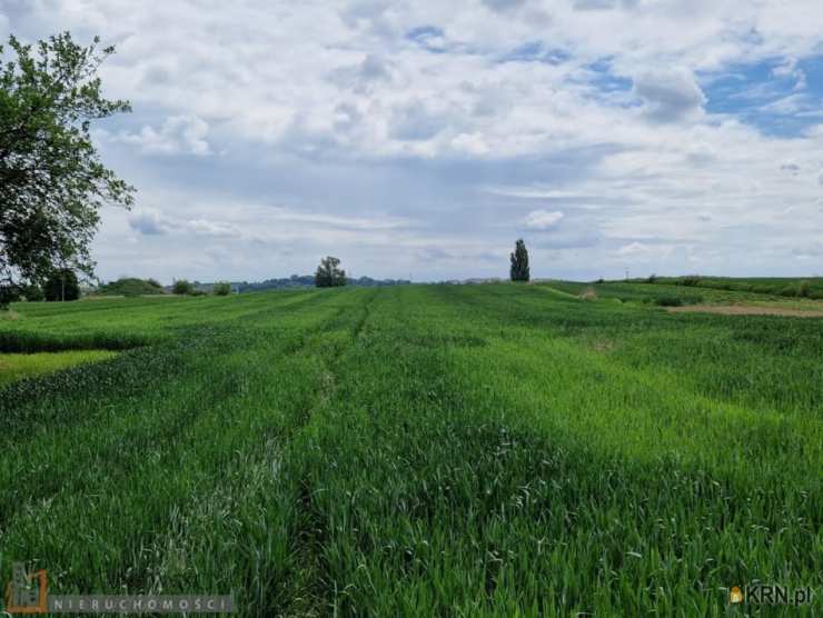 Raciborowice, ul. , Działki  na sprzedaż, 