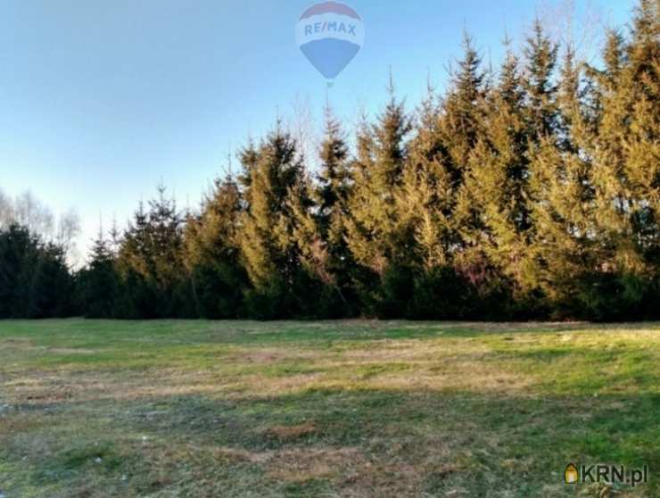 Działki  na sprzedaż, , Wólka Kościeniewicka, ul. 