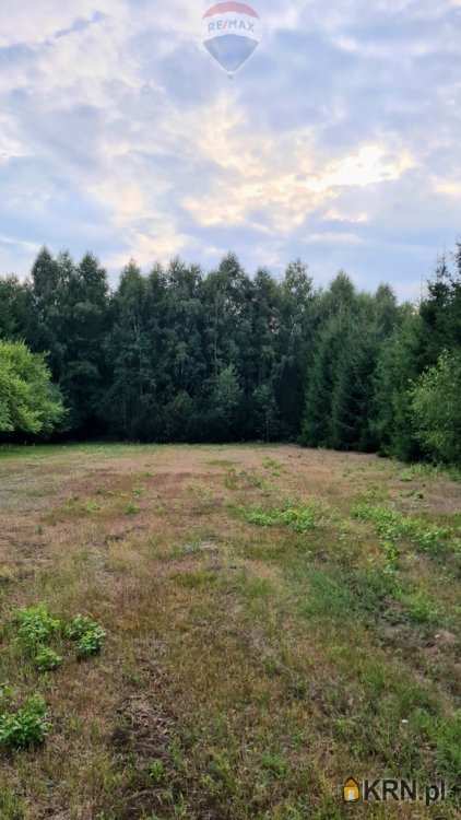 Wólka Kościeniewicka, ul. , Działki  na sprzedaż, 