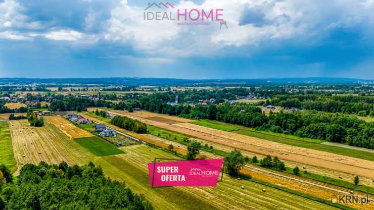 Działki  na sprzedaż, Borek Wielki, ul. , 