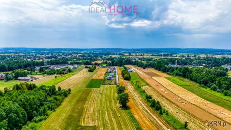 Działki  na sprzedaż, , Borek Wielki, ul. 