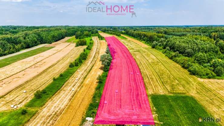 Borek Wielki, ul. , Działki  na sprzedaż, 