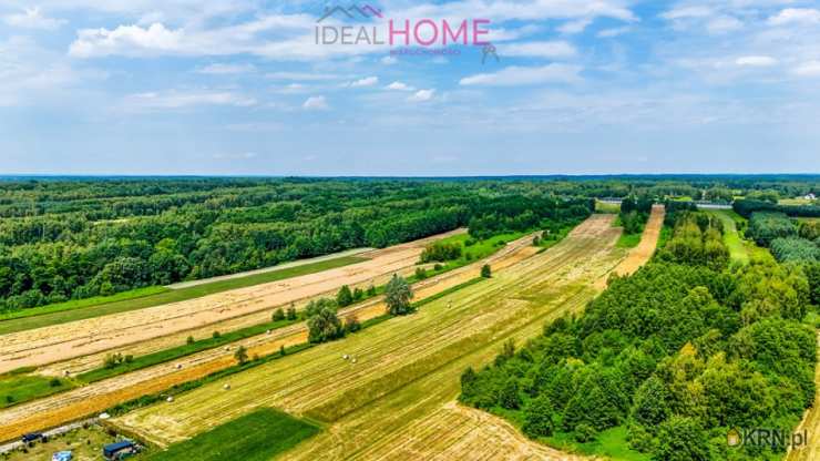 Borek Wielki, ul. , , Działki  na sprzedaż