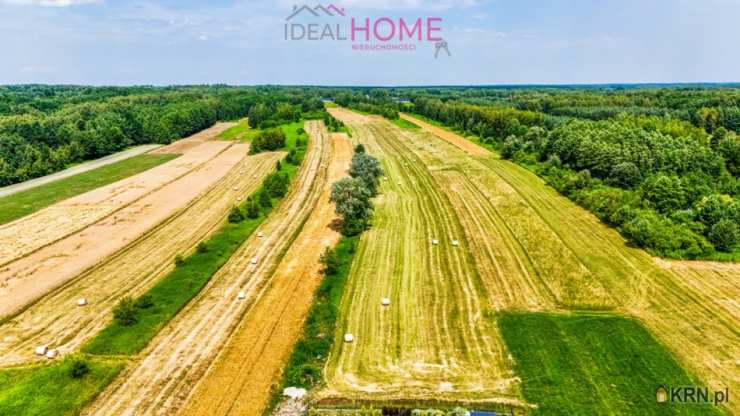  Ideal Home Nieruchomości , Działki  na sprzedaż, Borek Wielki, ul. 