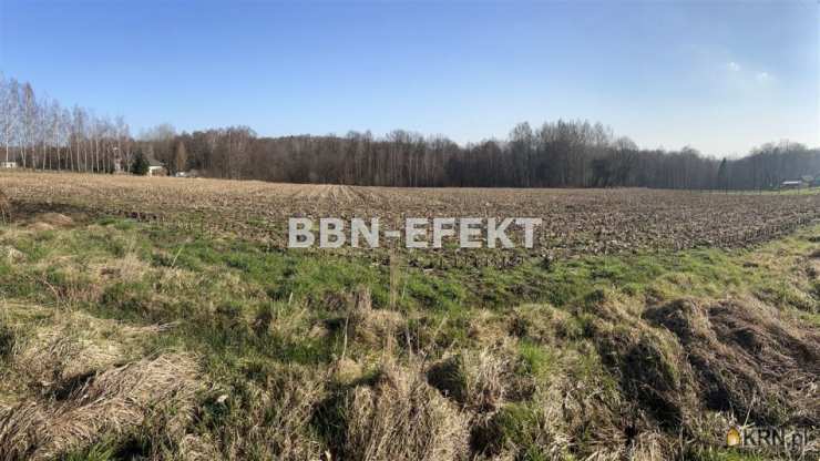 Działki  na sprzedaż, Roztropice, ul. , 