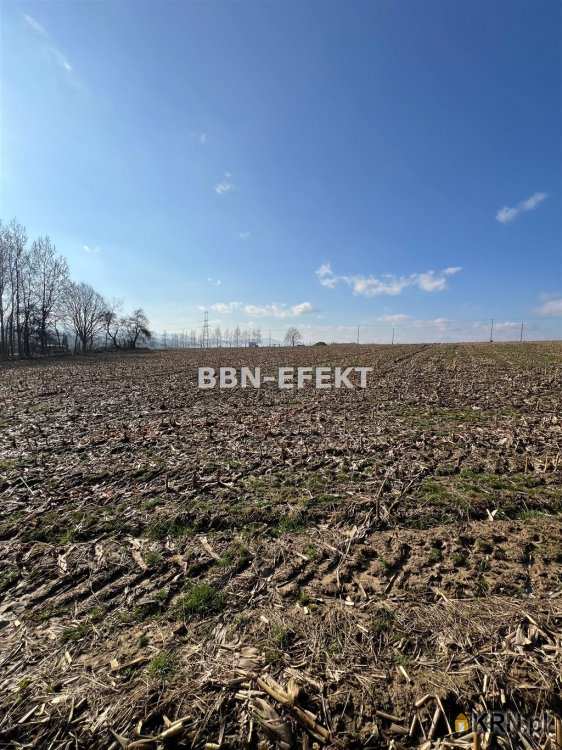 Działki  na sprzedaż, , Roztropice, ul. 