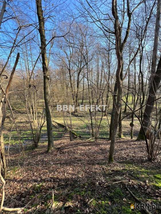 Działki  na sprzedaż, Roztropice, ul. , 