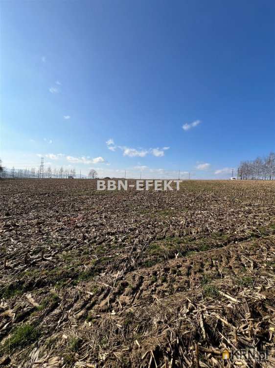 Roztropice, ul. , Działki  na sprzedaż, 