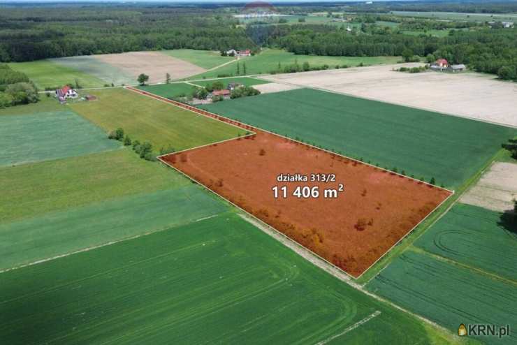 Działki  na sprzedaż, Korabiewice, ul. , 