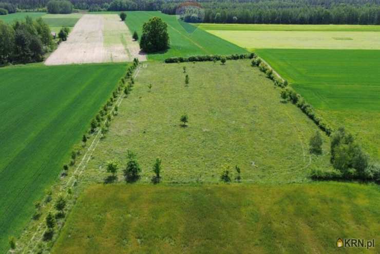 Korabiewice, ul. , , Działki  na sprzedaż