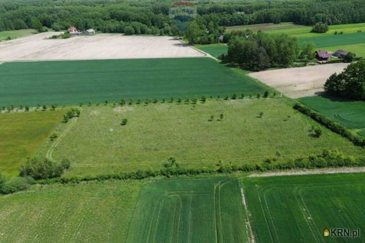 , Korabiewice, ul. , Działki  na sprzedaż