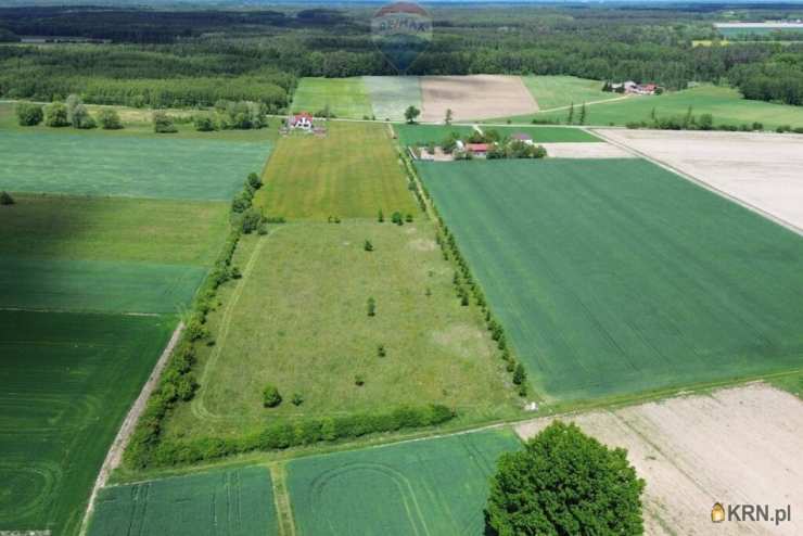 , Działki  na sprzedaż, Korabiewice, ul. 