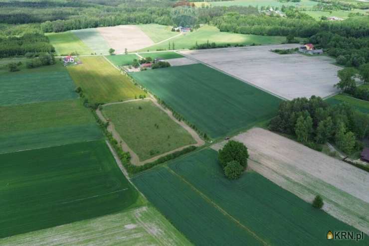 RE/MAX Polska, Działki  na sprzedaż, Korabiewice, ul. 