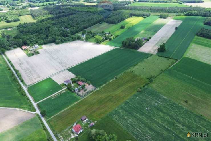 Działki  na sprzedaż, Korabiewice, ul. , 