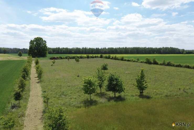 Korabiewice, ul. , , Działki  na sprzedaż