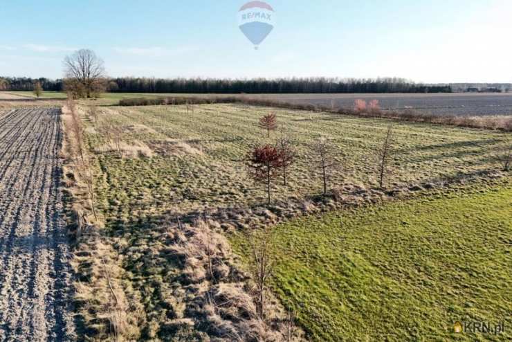 Działki  na sprzedaż, Korabiewice, ul. , 