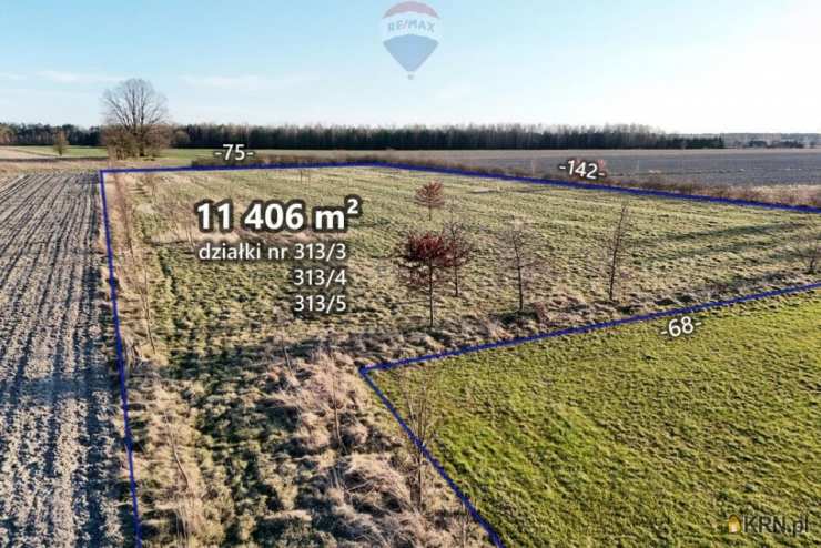 Działki  na sprzedaż, , Korabiewice, ul. 