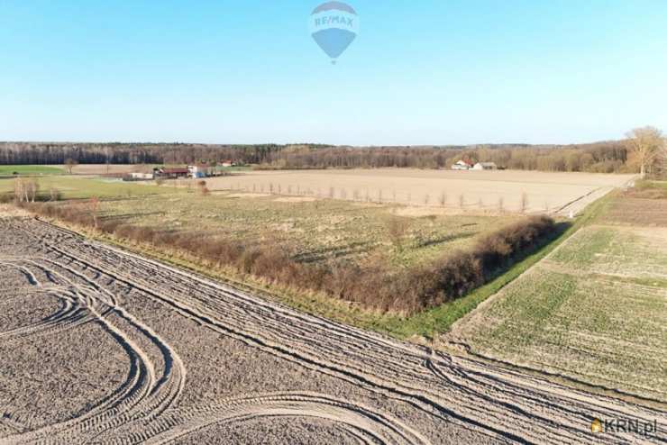 Korabiewice, ul. , , Działki  na sprzedaż