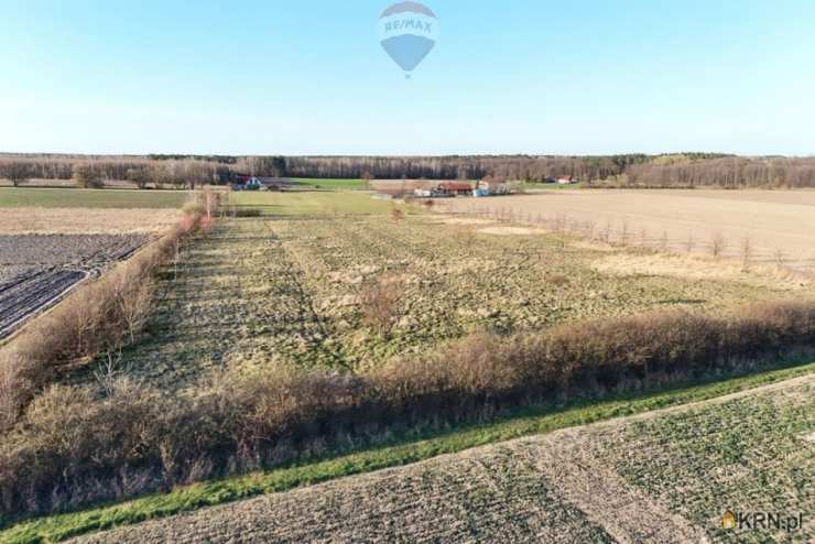 , Korabiewice, ul. , Działki  na sprzedaż