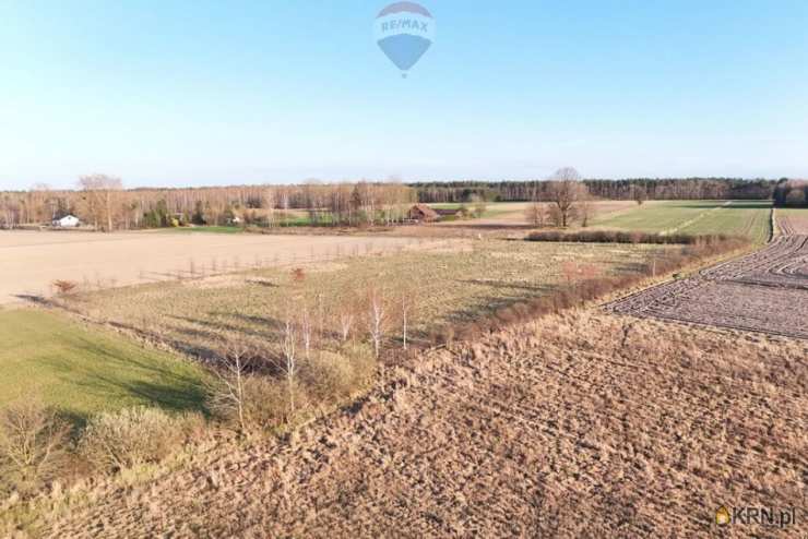 , Działki  na sprzedaż, Korabiewice, ul. 